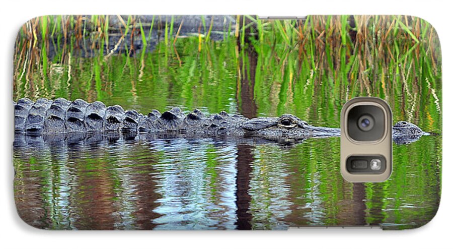 Alligator Galaxy S7 Case featuring the photograph Later Gator by Al Powell Photography USA