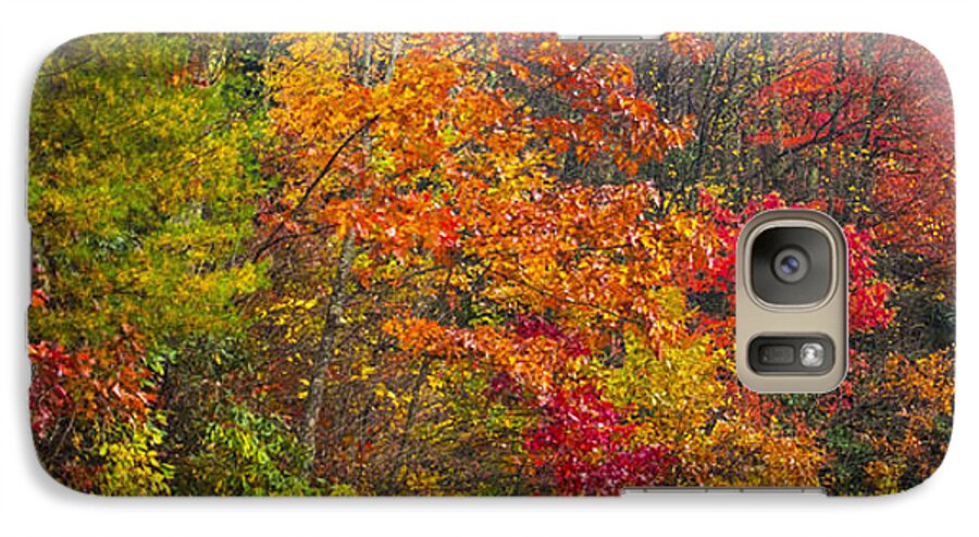 Fall Foliage Galaxy S7 Case featuring the photograph Leaf Tapestry by Rob Hemphill