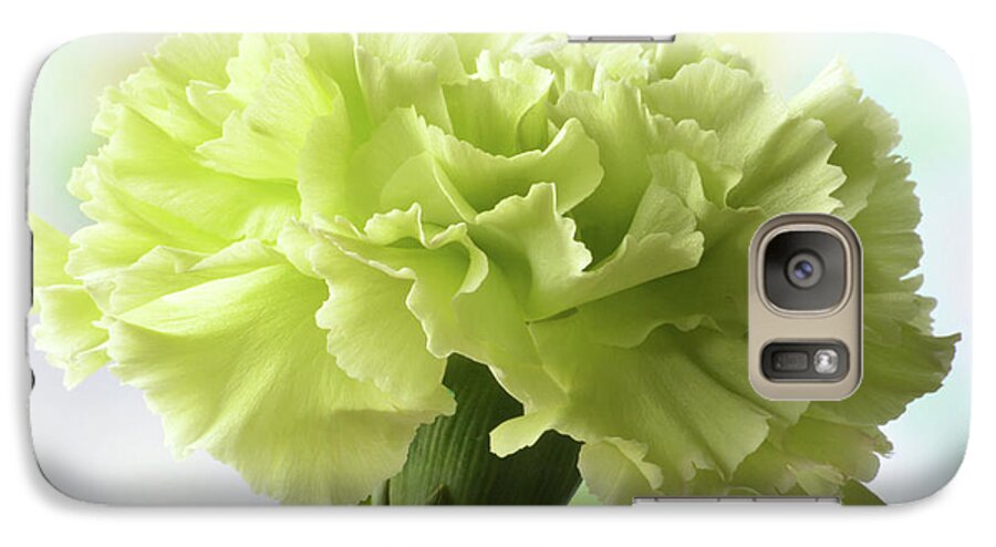 Carnation Galaxy S7 Case featuring the photograph Lemon Carnation by Terence Davis