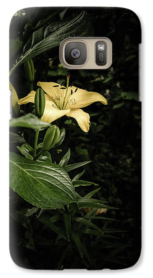 Lilies Galaxy S7 Case featuring the photograph Lily In The Garden Of Shadows by Marco Oliveira