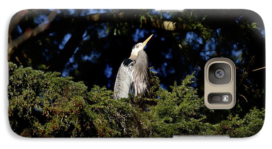 Terry Elniski Photography Galaxy S7 Case featuring the photograph Lost Lagoon Great Blue Heron 5 by Terry Elniski
