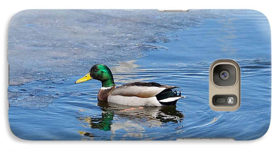 Duck Galaxy S7 Case featuring the photograph Male Mallard Duck by Michael Peychich