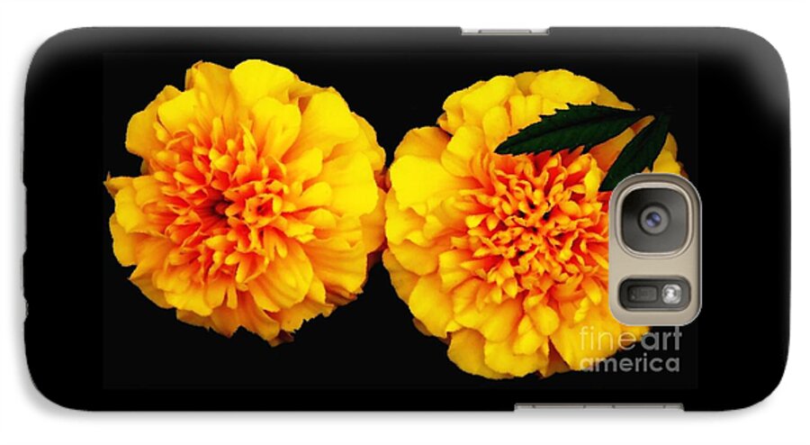 Marigolds Galaxy S7 Case featuring the photograph Marigolds with Oil Painting Effect by Rose Santuci-Sofranko