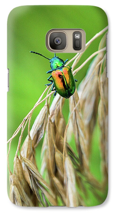 Grass Galaxy S7 Case featuring the photograph Mini Metallic Magnificence by Bill Pevlor
