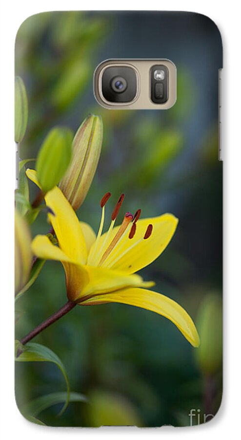 Lily Galaxy S7 Case featuring the photograph Morning Lily by Mike Reid