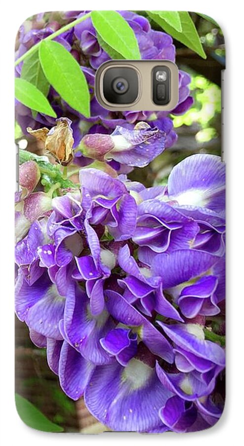 Wisteria Galaxy S7 Case featuring the photograph Native Wisteria Vine II by Angela Annas