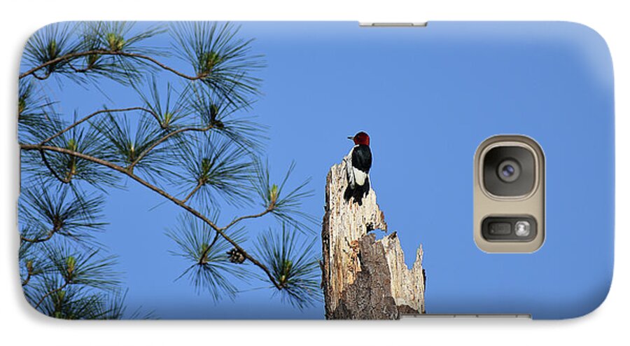 Scenic Tours Galaxy S7 Case featuring the photograph Old Red by Skip Willits
