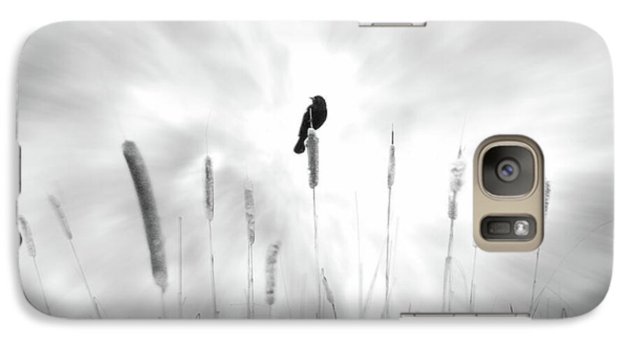 Bird; Black; Dream; Field; Message; Omen; Pussy Willow; White; John Poon; Cattail; Luck Galaxy S7 Case featuring the photograph Omen by John Poon
