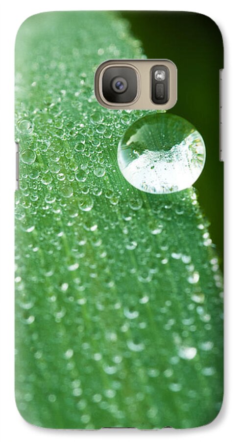 Blendon Woods Galaxy S7 Case featuring the photograph One Big Drop by Monte Stevens