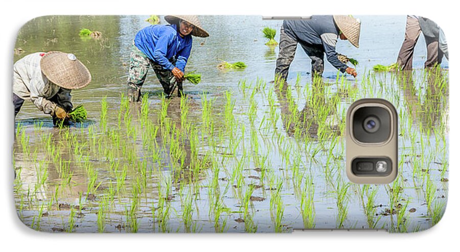 Rice Galaxy S7 Case featuring the photograph Paddy Field 1 by Werner Padarin