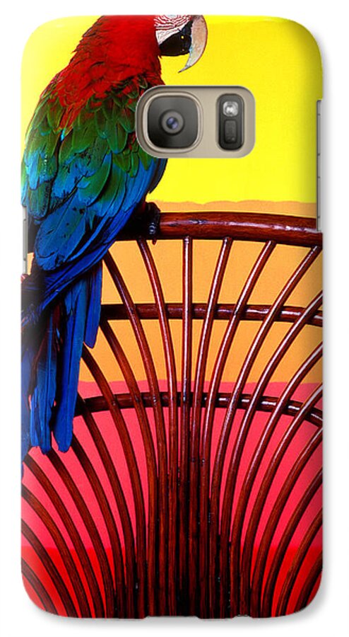 Parrot Galaxy S7 Case featuring the photograph Parrot Sitting On Chair by Garry Gay