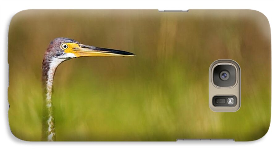Heron Galaxy S7 Case featuring the photograph Peek-a-boo Birdie by Bob Decker