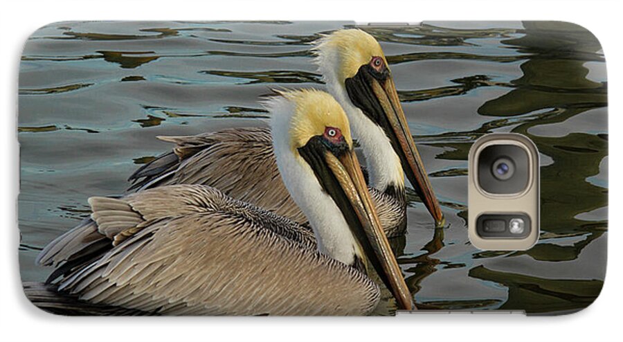 Jean Noren Galaxy S7 Case featuring the photograph Pelican Duo by Jean Noren