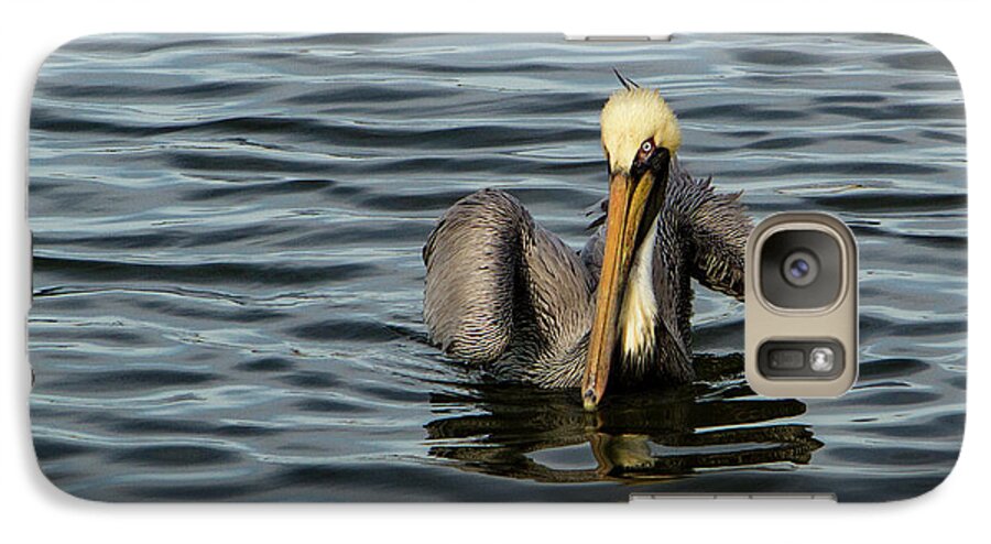 Jean Noren Galaxy S7 Case featuring the photograph Pelican Wing in a Twist by Jean Noren