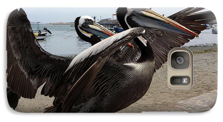 Pelican Galaxy S7 Case featuring the photograph Peruvian Pelicans by Aidan Moran