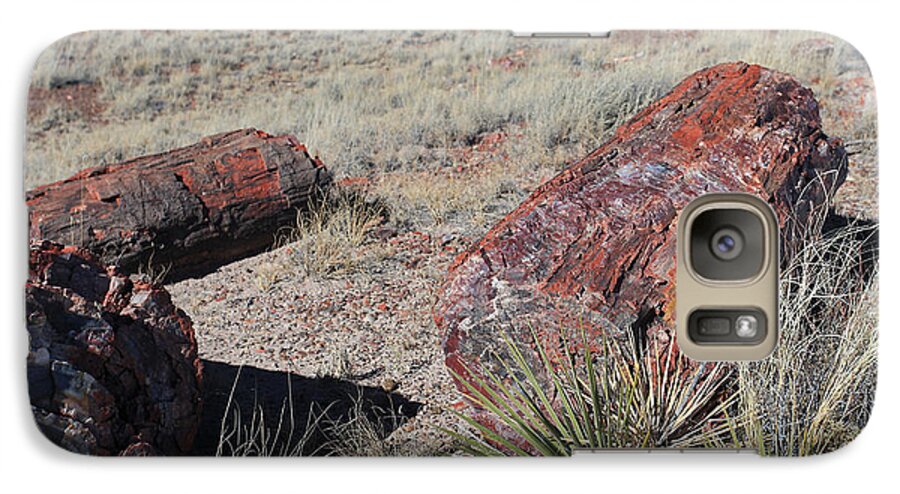 Petrified Forest Galaxy S7 Case featuring the photograph Petrified Afternoon by Gary Kaylor