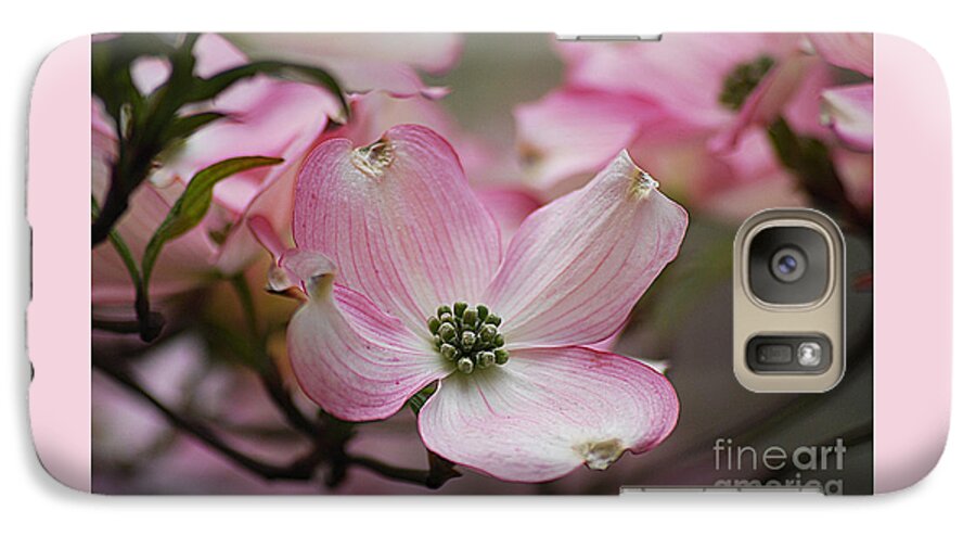 Photograph Galaxy S7 Case featuring the photograph Pink Dogwood 20120415_70a by Tina Hopkins