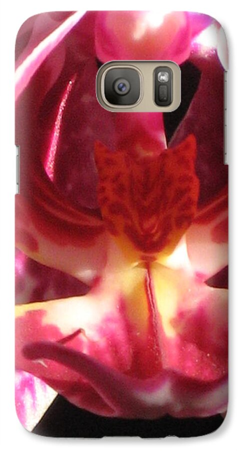 Orchid Galaxy S7 Case featuring the photograph Pink Orchid Macro by Alfred Ng