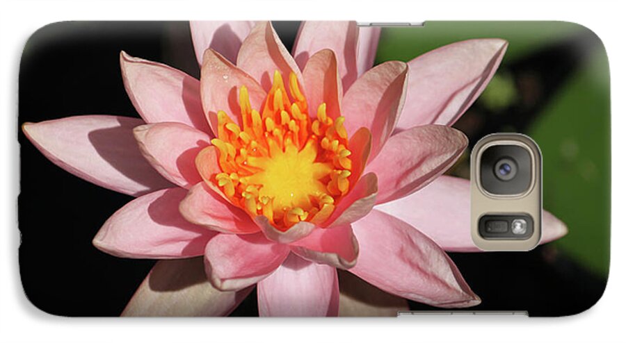 Photograph Galaxy S7 Case featuring the photograph Pink Water Lily 2016 by Suzanne Gaff