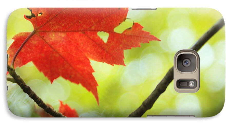 red Maple Leaf Galaxy S7 Case featuring the photograph Poesie d'Automne by Aimelle Ml