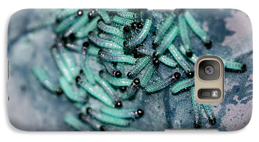 Caterpillars Galaxy S7 Case featuring the photograph Pop Macro No. 1 by Laura Melis