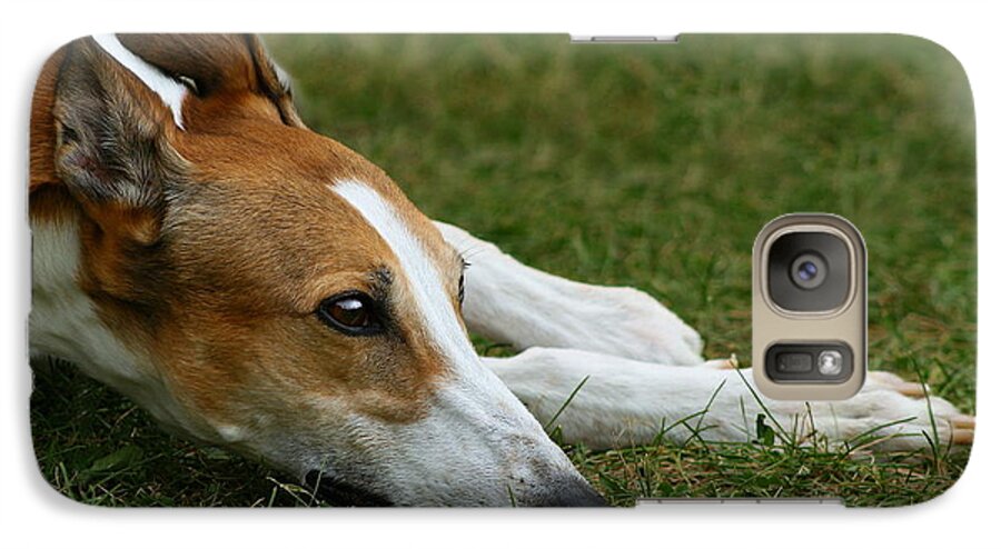Editorial Galaxy S7 Case featuring the photograph Portrait of a Greyhound - Soulful by Angela Rath