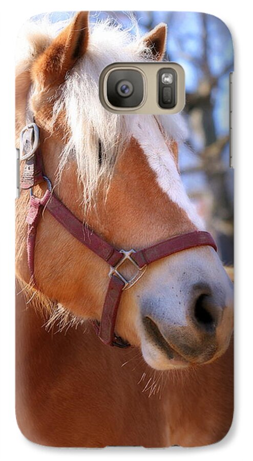 Horse Galaxy S7 Case featuring the photograph Portrait of a Haflinger - Niko by Angela Rath