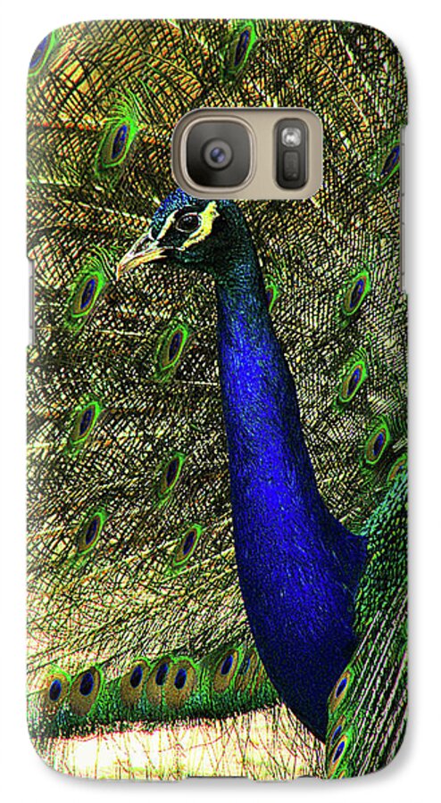 Peacock Galaxy S7 Case featuring the photograph Portrait of a Peacock by Jessica Brawley