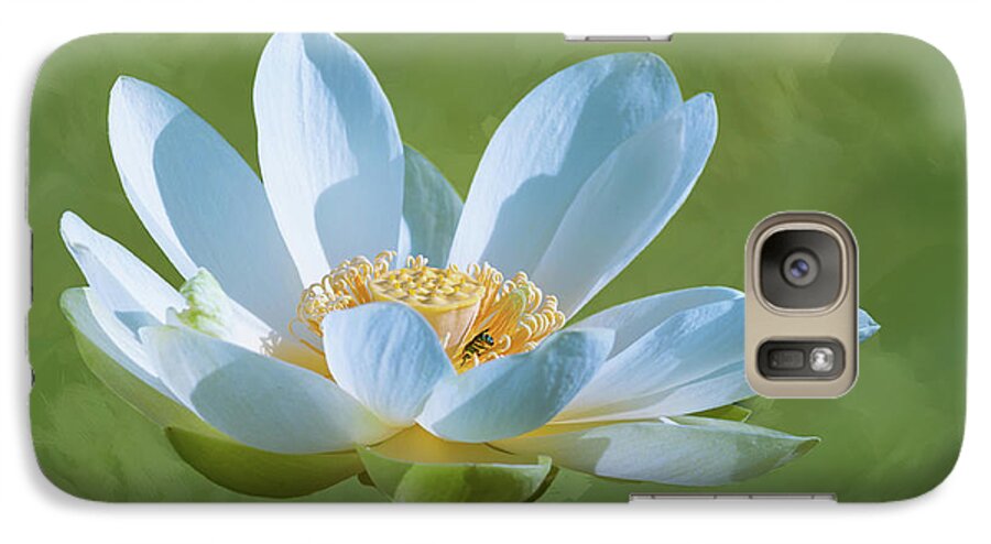Lotus Blooms Wildflowers Galaxy S7 Case featuring the photograph Power of a Lotus by Carolyn D'Alessandro