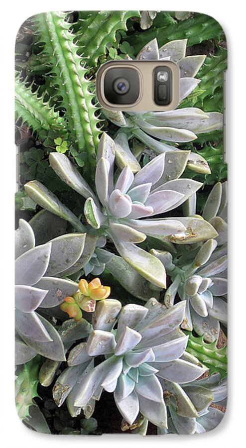 Fine Art Photo Galaxy S7 Case featuring the photograph Prickly one by Ken Frischkorn