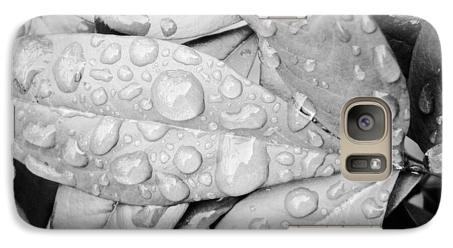 Rain Drops Upon Leaves Reminds Us Of Gods Beauty In Nature; Not Only Does It Feed The Plant But We All Benefit Also :) Galaxy S7 Case featuring the photograph Rain Drops by Robin Coaker