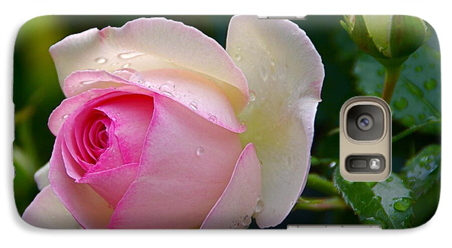 Rose Galaxy S7 Case featuring the photograph Rain-Kissed Rose by Byron Varvarigos