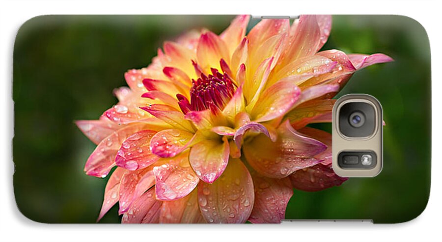 Dahlia Galaxy S7 Case featuring the photograph Rainy Dahlia by Mary Jo Allen