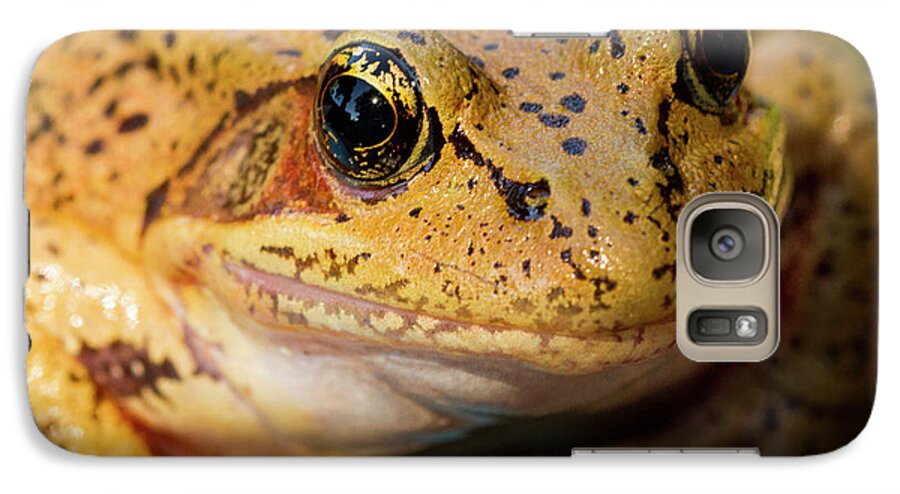 Jean Noren Galaxy S7 Case featuring the photograph Red Leg Frog by Jean Noren
