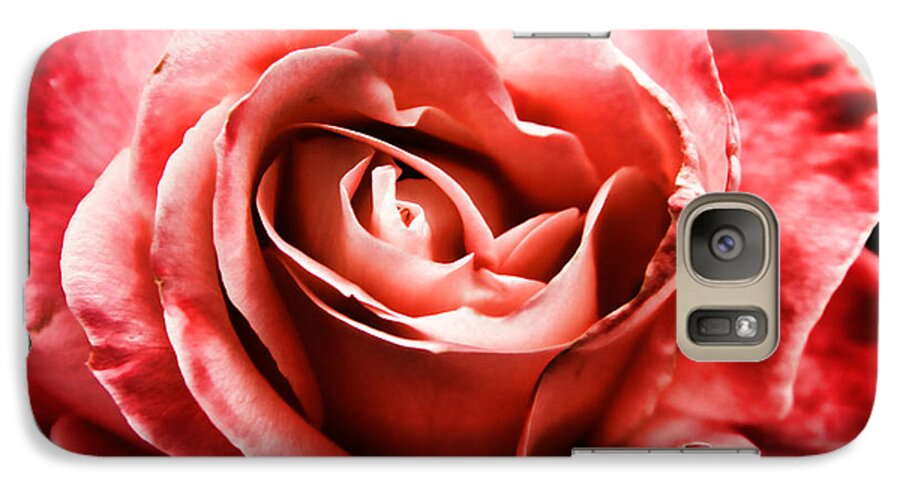 Red Rose Galaxy S7 Case featuring the photograph Red Rose by Mariola Bitner