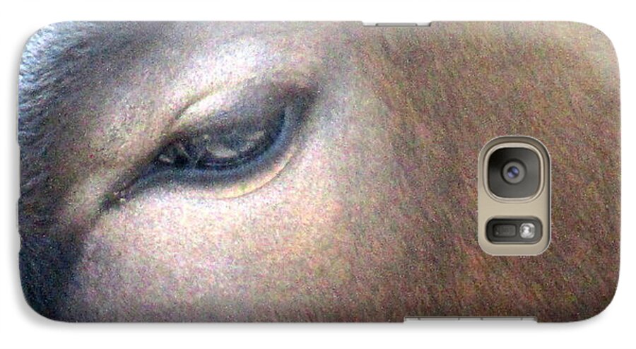 Sacred Cow Galaxy S7 Case featuring the photograph Sacred Cow 5 by Randall Weidner
