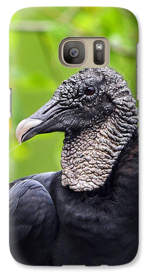 Black Vulture Galaxy S7 Case featuring the photograph Scavenger Spittle by Al Powell Photography USA