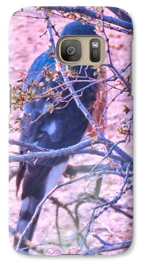 Accipiter Galaxy S7 Case featuring the photograph Sharp-Shinned Hawk Hunting in the Desert 2 by Judy Kennedy