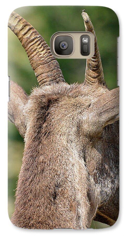 Yellowstone Galaxy S7 Case featuring the photograph Sheepish Look by Bruce Gourley