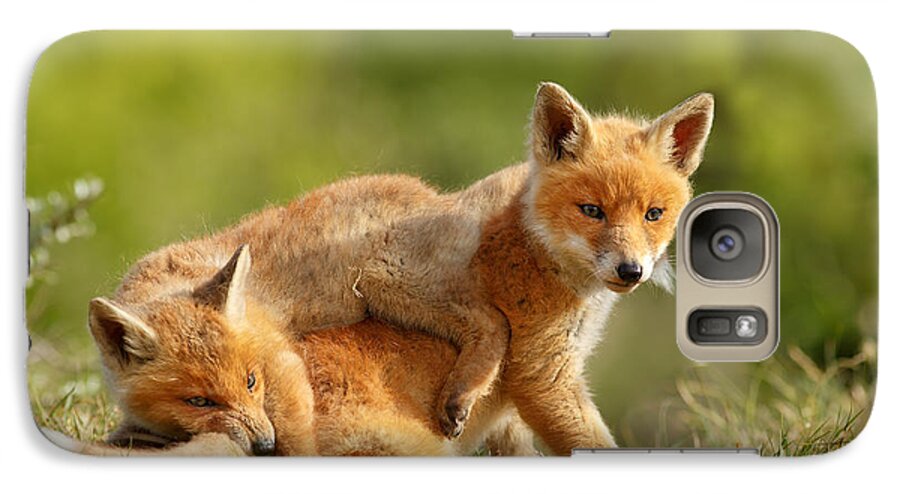 Red Fox Galaxy S7 Case featuring the photograph Sibbling Love - Playing Fox Cubs by Roeselien Raimond