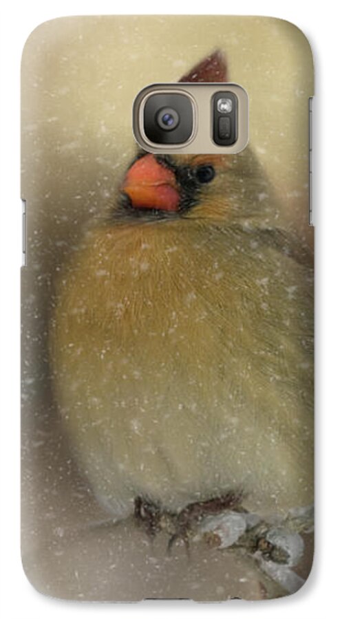 Animal Galaxy S7 Case featuring the photograph Snowy Female Cardinal by Lana Trussell