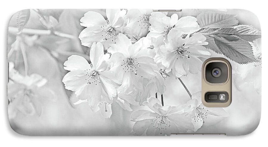 Cherry Tree Blossom Galaxy S7 Case featuring the photograph Spring Flower Blossoms Soft Gray by Jennie Marie Schell
