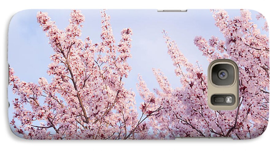 Spring Galaxy S7 Case featuring the photograph Spring is in The Air by Ana V Ramirez
