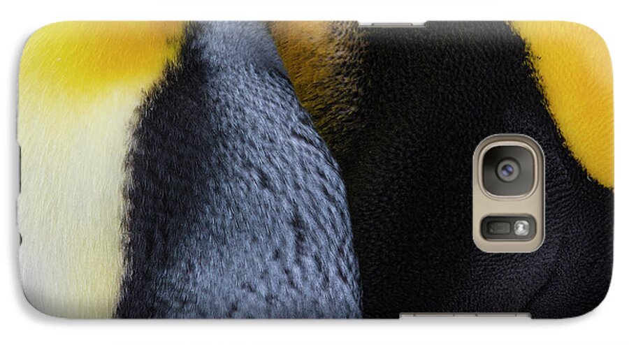 King Penguin Galaxy S7 Case featuring the photograph Still Daydreaming by Tony Beck