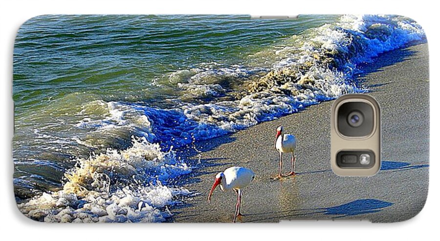 White Ibis Galaxy S7 Case featuring the photograph Strutting Shadows - White Ibis strutting on the Beach by Shelia Kempf