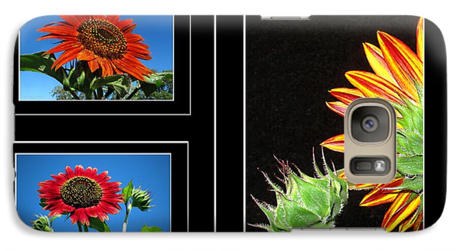 Sunflower Galaxy S7 Case featuring the photograph Sunflower collage by Joyce Dickens