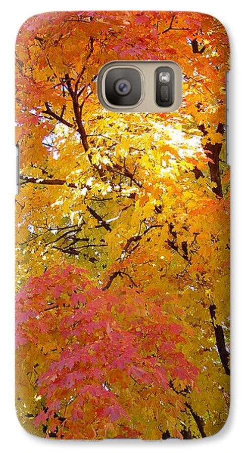 Sunkissed 2 Galaxy S7 Case featuring the photograph Sunkissed 2 by Elizabeth Sullivan