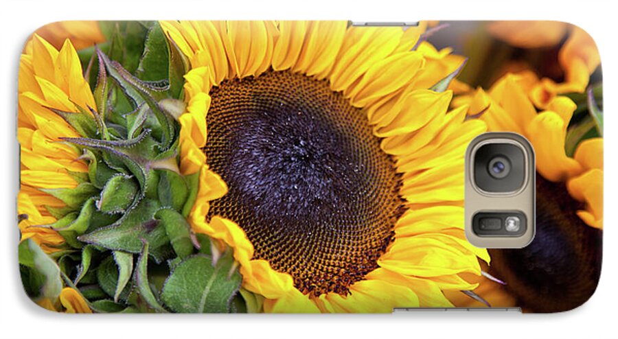 August Galaxy S7 Case featuring the photograph Sunny Face by Susan Cole Kelly