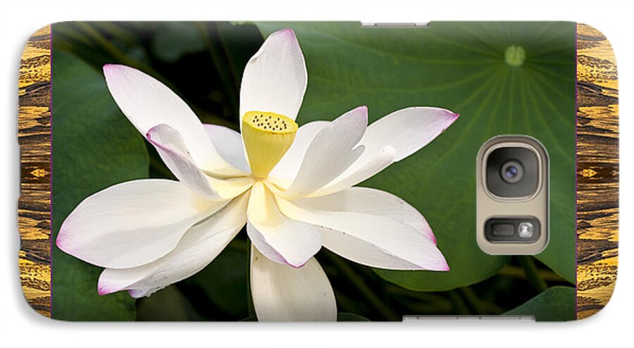 Nature Photos Galaxy S7 Case featuring the photograph Sunset Lotus by Bell And Todd