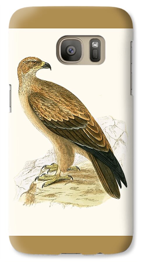 Tawny Eagle Galaxy S7 Case featuring the painting Tawny Eagle by English School